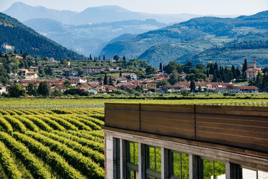 Wine & Dine mit Buglioni